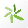 プログラムのアイコン：Green Star