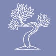 Programın simgesi: Meditation Timer