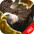 Programikonen: Wild Eagle Survival Simul…