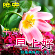 プログラムのアイコン：Good Morning Afternoon Ni…