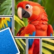 Programikonen: Jigsaw Card: Puzzle Game