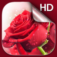 Programikonen: Red Roses Live Wallpaper …