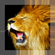 Иконка программы: Animal Sounds  Ringtones