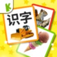 Programın simgesi: Chinese Flashcards for Ba…