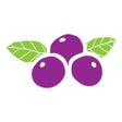 Ikon program: Bahia Bowls
