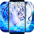 Programikonen: Fantasy Wallpaper