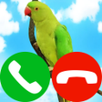 プログラムのアイコン：fake incoming call pet ga…