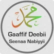 Gaaffif Deebii 440 Seenaa Nabi