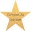 程序图标：GoldStar