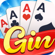 Programikonen: Gin Rummy Offline