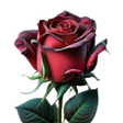 Icon of program: Flowers And Roses Images …
