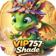 Programikonen: VIP757Shade