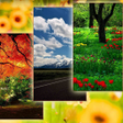 程序图标：Nature Wallpapers 1