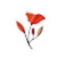 Icon of program: Flowers Backgrounds