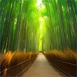 Programın simgesi: Rambling Pathways