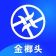 Иконка программы: 金榔头