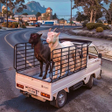 Ikon program: Animal Truck Transport Ga…
