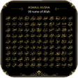 Programikonen: 99 Names Of Allah Live Wa…