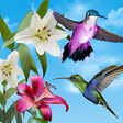 Иконка программы: Birds Live Wallpaper Free