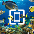 プログラムのアイコン：Wallpaper for Mobile Phon…