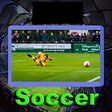 程序图标：Live Soccer Updates Score