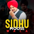 Sidhu Moose Wala Hit All Songs