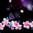 程序图标：Sakura Night Theme HOME