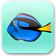 Icon of program: Aquazone Classic Expansion Pack Bass Pack