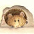 أيقونة البرنامج: My YouTube Ad skipper