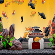 Icoon van programma: Gold Fish Pack