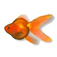 Aquazone Classic Expansion Goldfish Pack