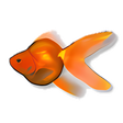 Icona del programma: Aquazone Classic Expansio…