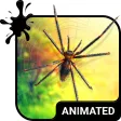 Spider Animated Keyboard  Liv