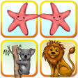 程序图标：Memorize cards