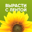 プログラムのアイコン：Вырасти с ЛЕНТОЙ