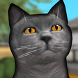 プログラムのアイコン：Cat Shelter Simulator 3D