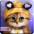 程序图标：Toffee Cute Kitty Live Wa…