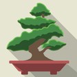 Ícone do programa: Pocket Bonsai