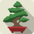 Ícone do programa: Pocket Bonsai