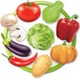 Vegetable Names icon