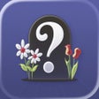 Programikonen: Find a Grave
