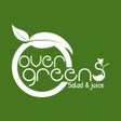 Overgreens Salad  Juice