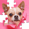 Иконка программы: Jigsaw Puzzles Collection…