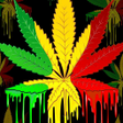 Programikon: Rasta Wallpaper
