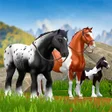 プログラムのアイコン：Star Equestrian - Horse R…