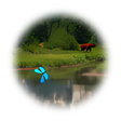 Ícone do programa: Alpine Lake – Animated Wa…