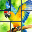 Icoon van programma: Jigsaw Solitaire Sort Puz…