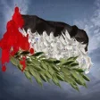 プログラムのアイコン：Palestine