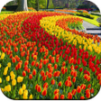 Ikona programu: Beautiful Place Wallpaper