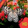 Иконка программы: Aesthetic Butterfly Wallp…